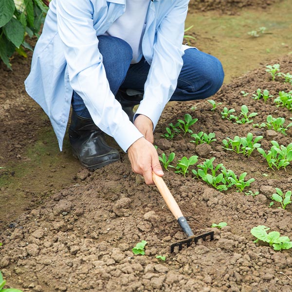 Agricultura